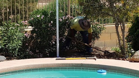 PrestigelandscapingGallery Image